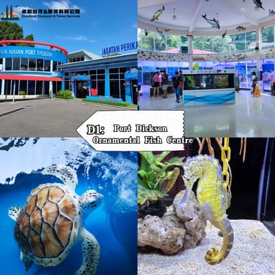 Ornamental Fish Centre - Port Dickson